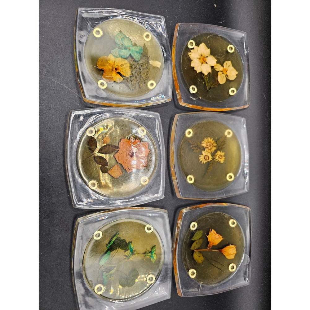 Vintage Lucite Acrylic Coasters Set of 6 Real Dried Pressed Flowers Botanical Ss